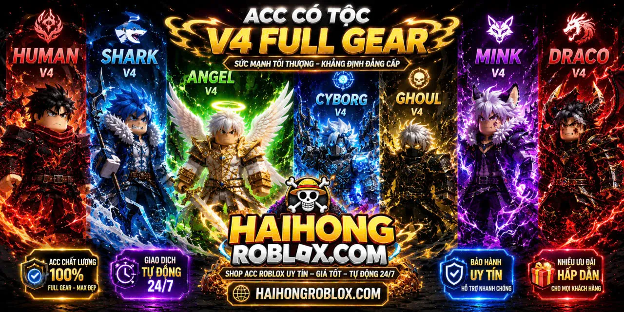 ACC V4 FULL GEAR (TRẮNG THÔNG TIN)